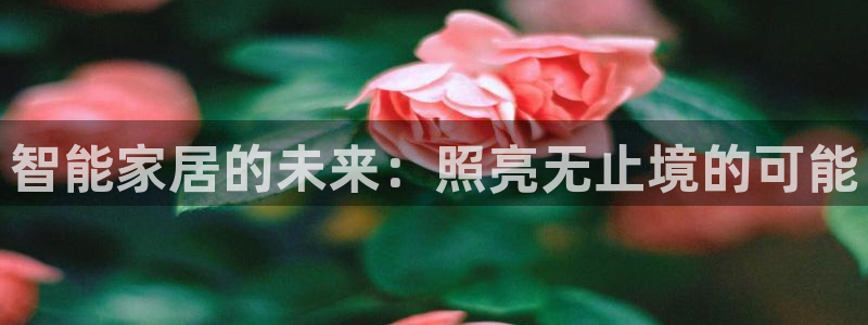 云顶国际大酒店房间价格表
