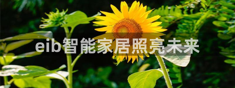云顶国际酒店老板是哪里人