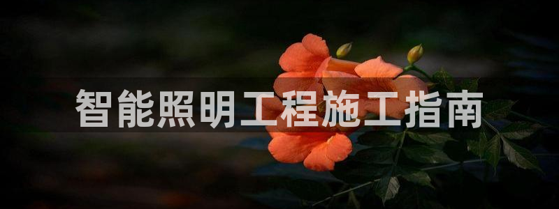 云顶国际商业广场可以充电动车吗