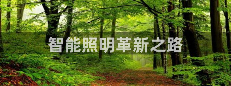 云顶vn