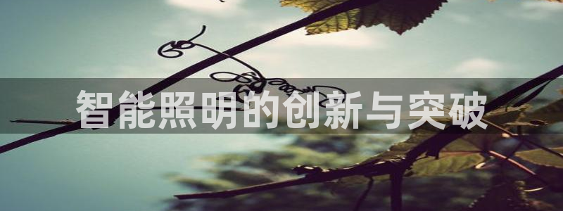 云顶国际大酒店停车场收费