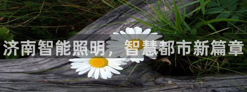 云顶官网网址
