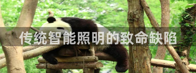 云顶集团3118官网