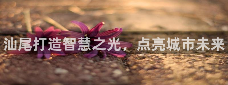 云顶国际公馆有取暖吗