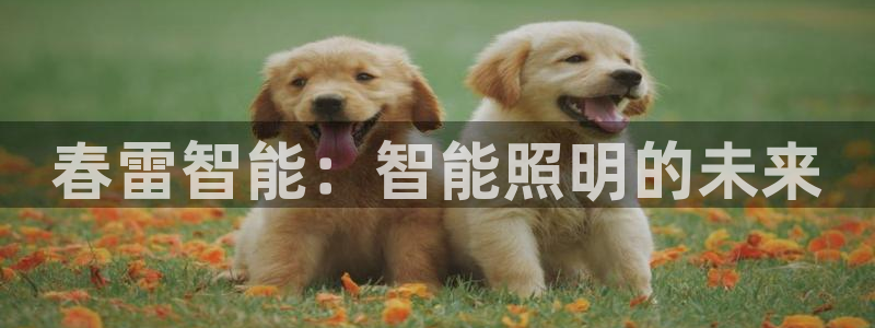太原云顶国际酒店很吓人