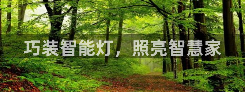 云顶国际游戏