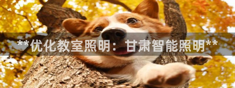 云顶国际服s11