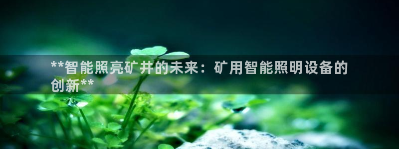 云顶集团网站多少