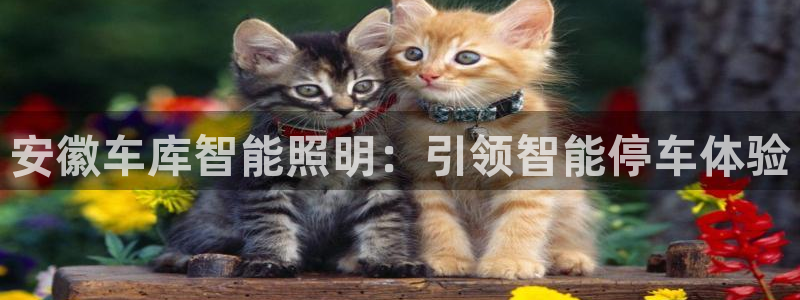 云顶国际会议中心电话