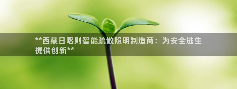 云顶控股集团有限公司