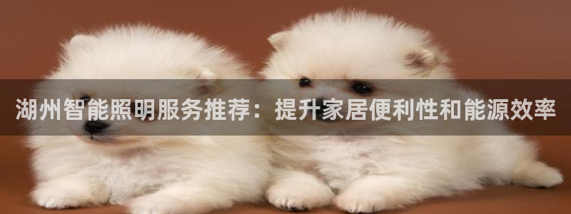 云顶国际酒店几星