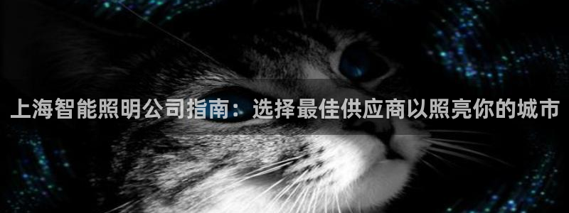 云顶国际物流