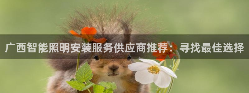 云顶国际二手房价格
