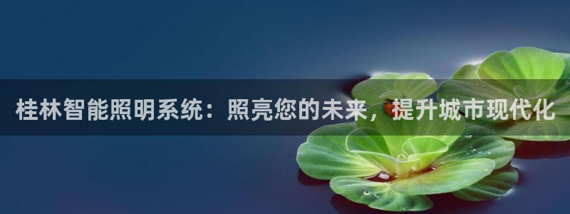 云顶国际大酒店电话