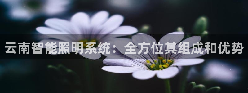云顶国际酒店怎么样