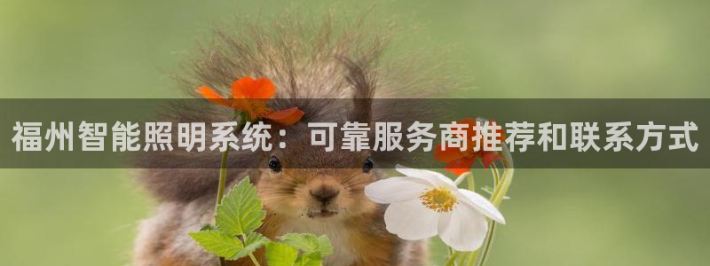 云顶国际服什么时候更新