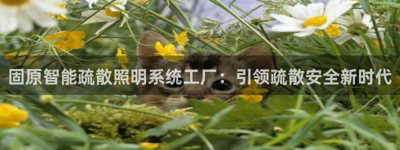 云顶国际平台游戏可靠吗