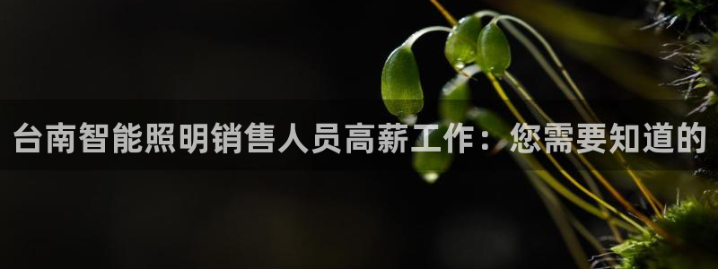 云顶国际商业广场a座101层