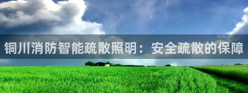 云顶国际投资有限公司