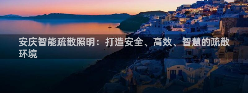 云顶国际logo