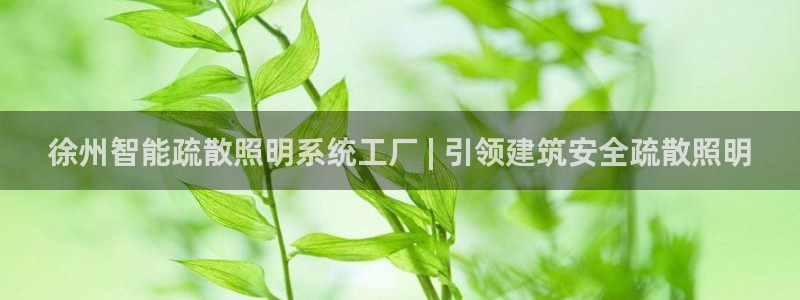 云顶国际旅行社官网