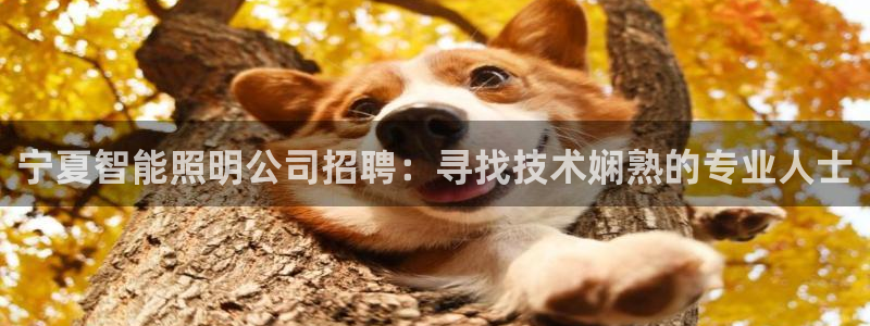 云顶集团最新官方网站入口