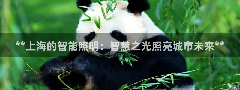 云顶国际线上平台