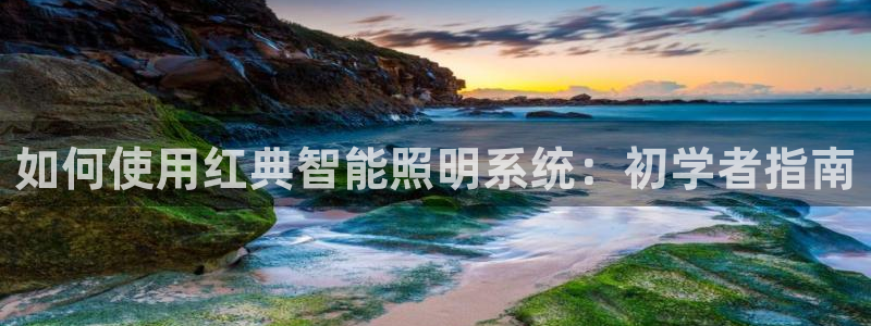 云顶集团网站app下载安装
