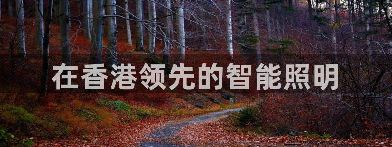 云顶国际会所地址