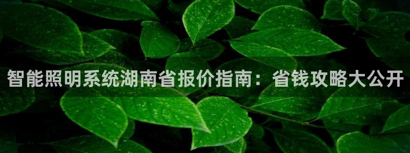 云顶集团网页