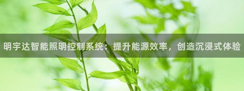 手游云顶国际服更新