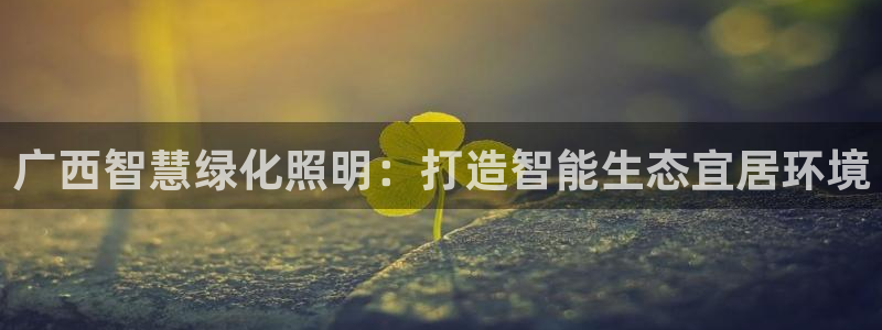 云顶讲解