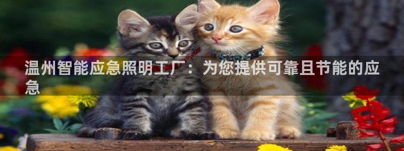 云顶国际app官网下载