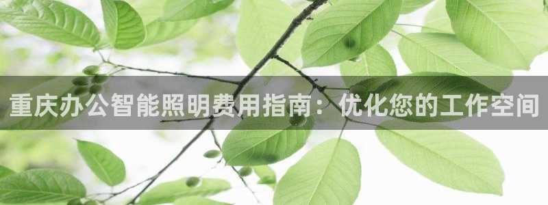 云顶国际提款不到账什么原因