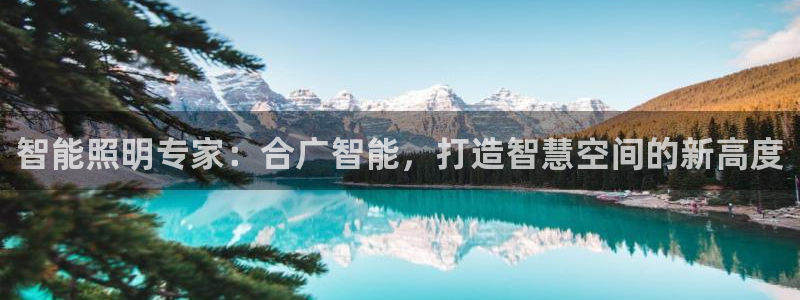 云顶网络游戏平台