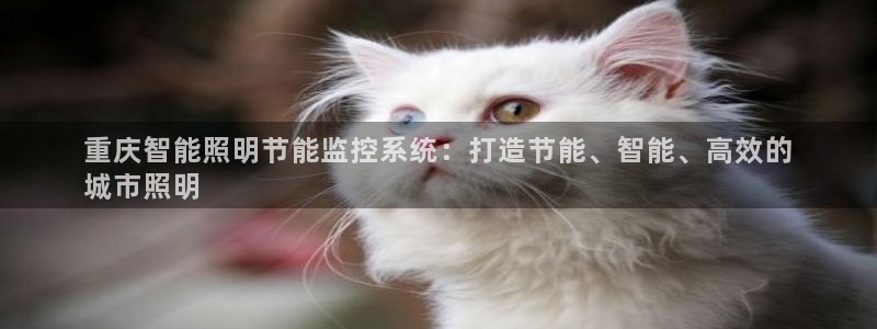 云顶国际ktv
