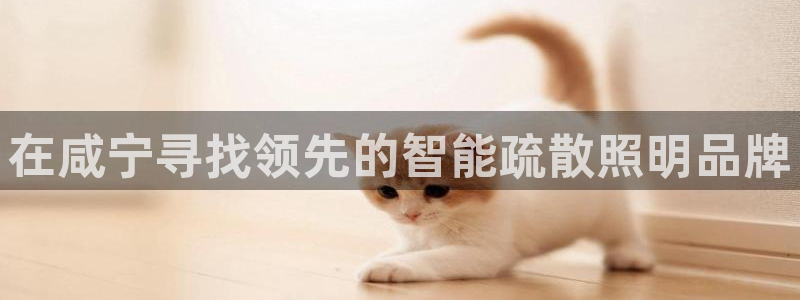 云顶网站网址