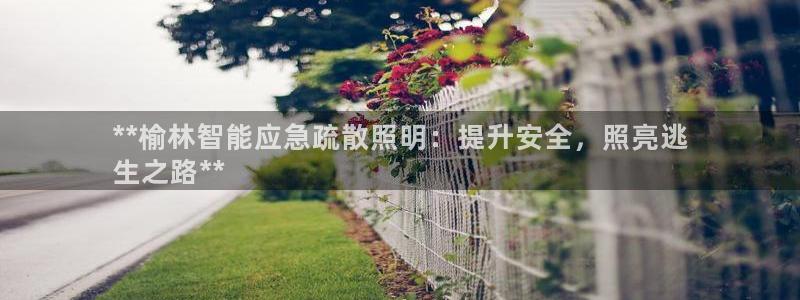 云顶国际是正规平台吗