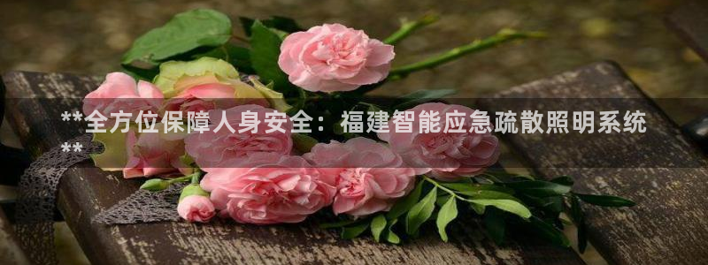 云顶集团有限公司简介资料