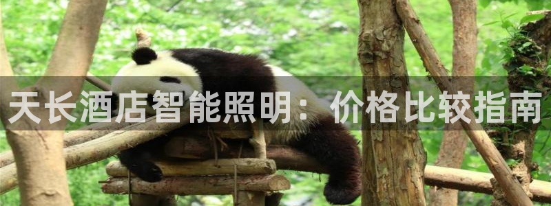 云顶国际房地产有限公司