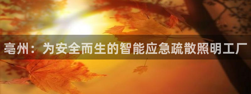 云顶国际怎么样