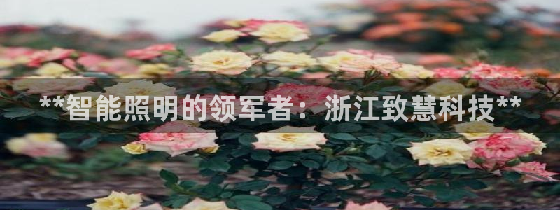 云顶国际宴会中心怎么样