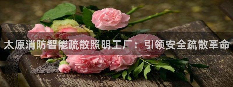 云顶国际pg网站