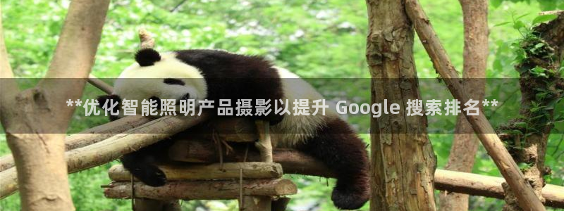 云顶国际物流