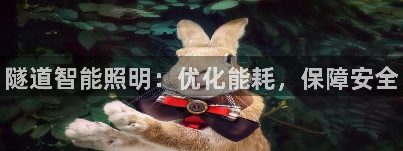 云顶国际是正规游戏吗知乎