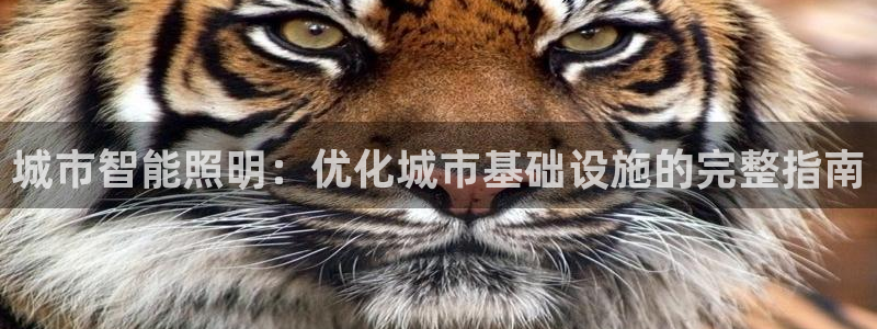 云顶国际游戏官方网站