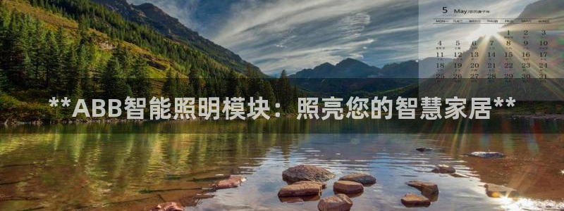 云顶电子游戏平台