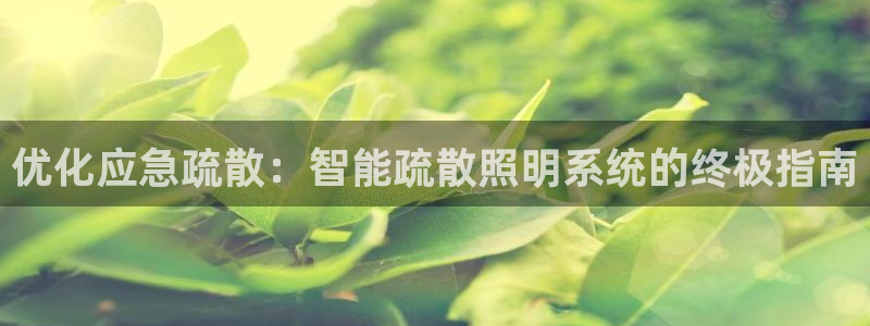 云顶集团游戏app特色