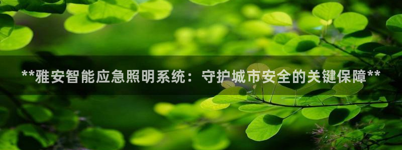 云顶国际服和端游互通吗