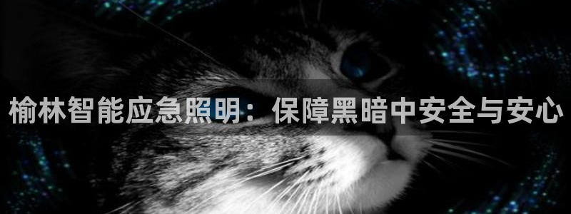 云顶国际服自定义